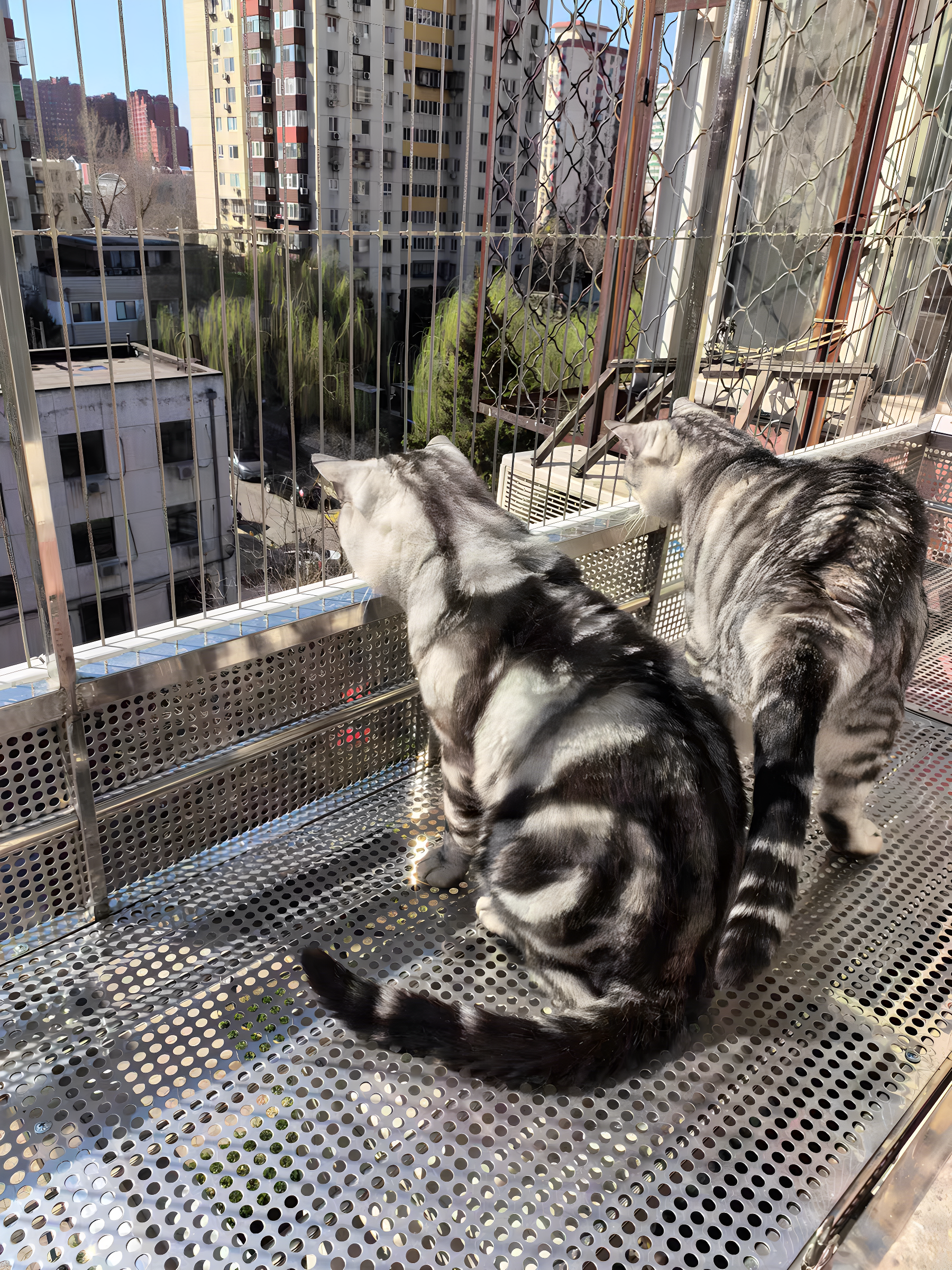 飘窗防护网心灵之窗304不锈钢