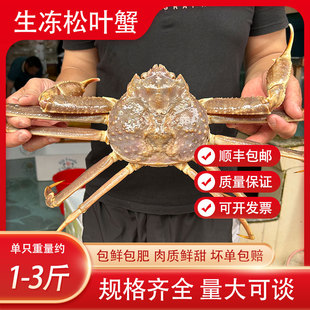 生冻松叶蟹冰鲜板蟹超大长脚蟹黄金蟹新鲜鳕蟹珍宝蟹海鲜水产
