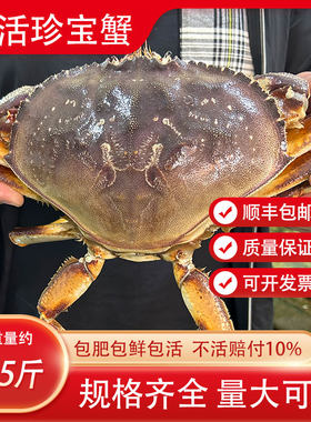 鲜活珍宝蟹打氧活发肉质鲜美
