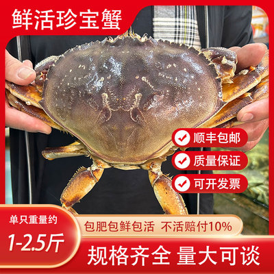 鲜活珍宝蟹打氧活发肉质鲜美