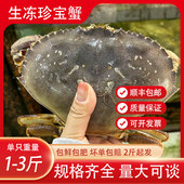 生冻珍宝蟹鲜活海鲜水产生冻螃蟹冰鲜蜘蛛蟹特大帝王蟹黄金蟹