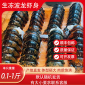 网红波士顿龙虾虾尾波士顿大龙虾虾身波士顿龙虾钳子超大新鲜虾尾