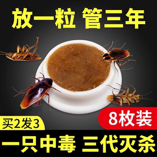 餐厅专用饭店非无毒全窝端灭除绝杀胶饵剂 蟑螂药家用神器一窝正品