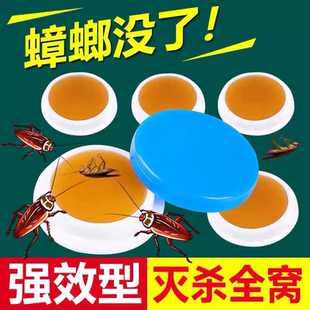 餐厅专用饭店非无毒全窝端灭除绝杀胶饵剂 蟑螂药家用神器一窝正品