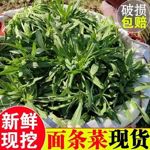 26年新鲜面条菜现挖野菜苗条菜农家羊蹄颗时令蒸菜露天柳叶菜包邮