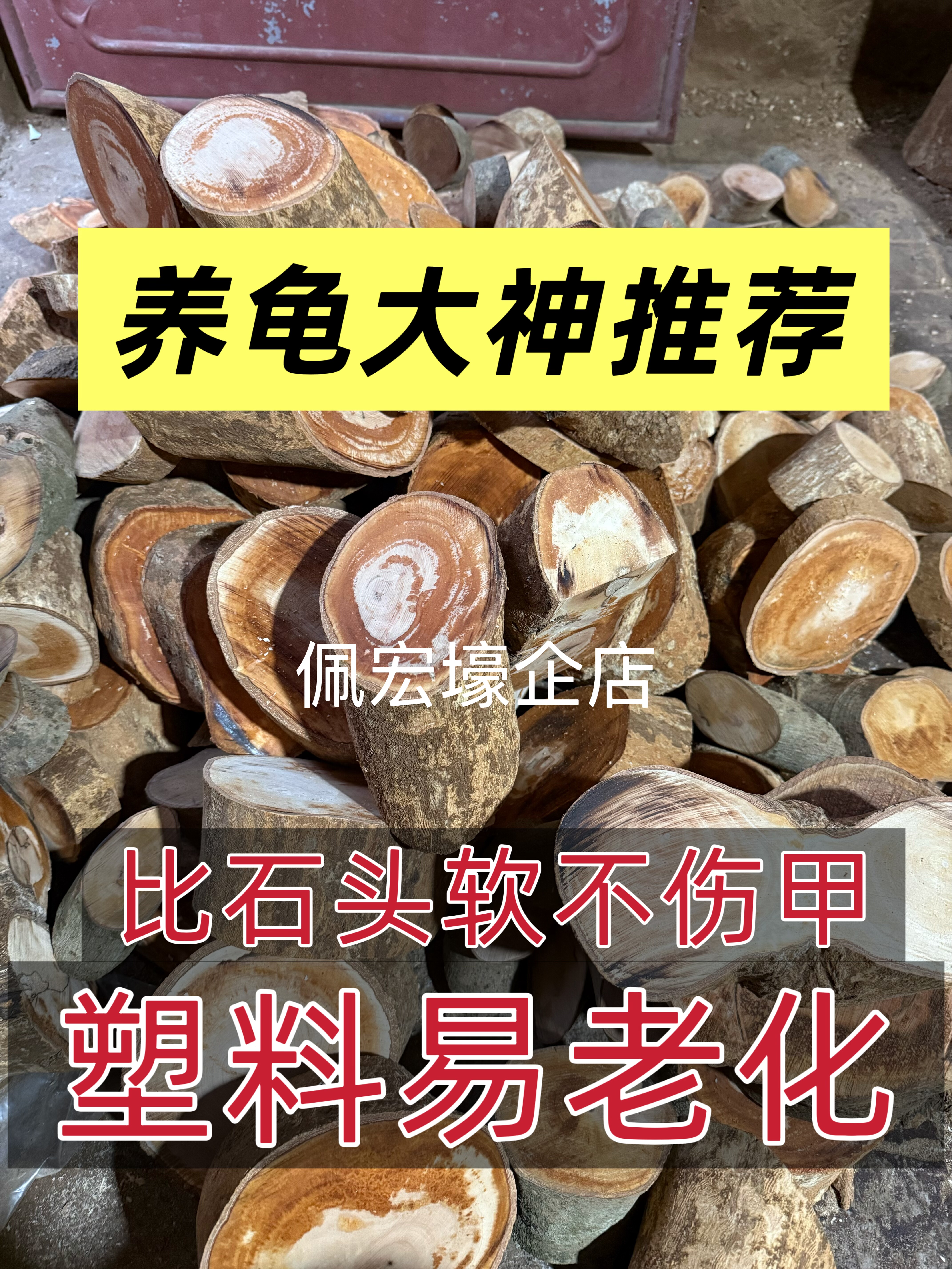 超密乌龟龙眼木晒台爬坡台投喂台躲避避免应激白眼免煮晒台图片