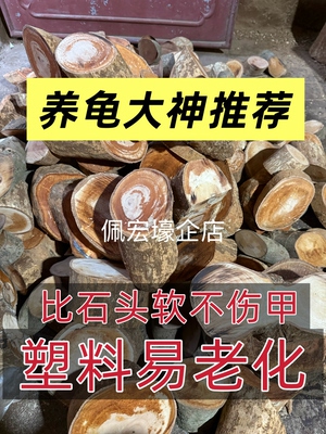 超密乌龟龙眼木晒台爬坡台投喂台躲避避免应激白眼免煮晒台
