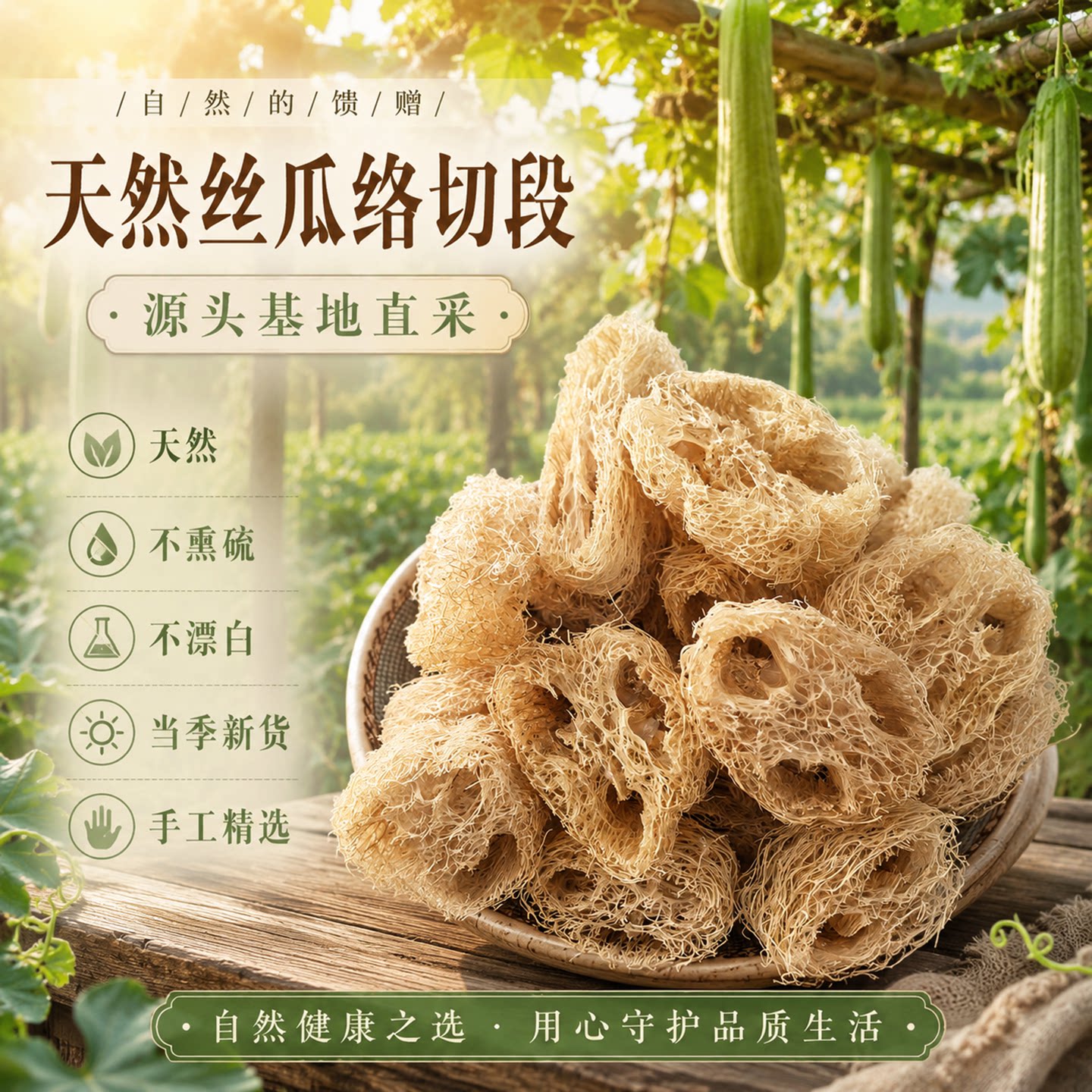 天然丝瓜络片无添加老丝瓜筋不漂白不熏硫水瓜丝瓜囊去水垢丝瓜瓤