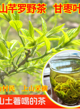 崂山野生茶头采嫩芽芊罗野茶甘枣叶香气浓郁山东特产青岛野生绿茶