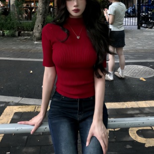 Mimo dk极简知性半高领打底针织衫女内搭修身显瘦中袖正肩上衣女