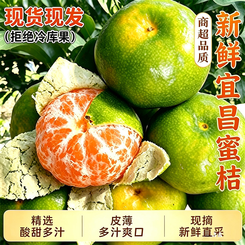 宜昌青皮蜜桔无籽现摘整箱包邮