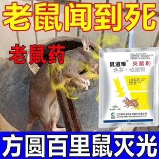 老鼠家用药超强力耗子药神高特药老鼠一锅端室外死特效闻就死
