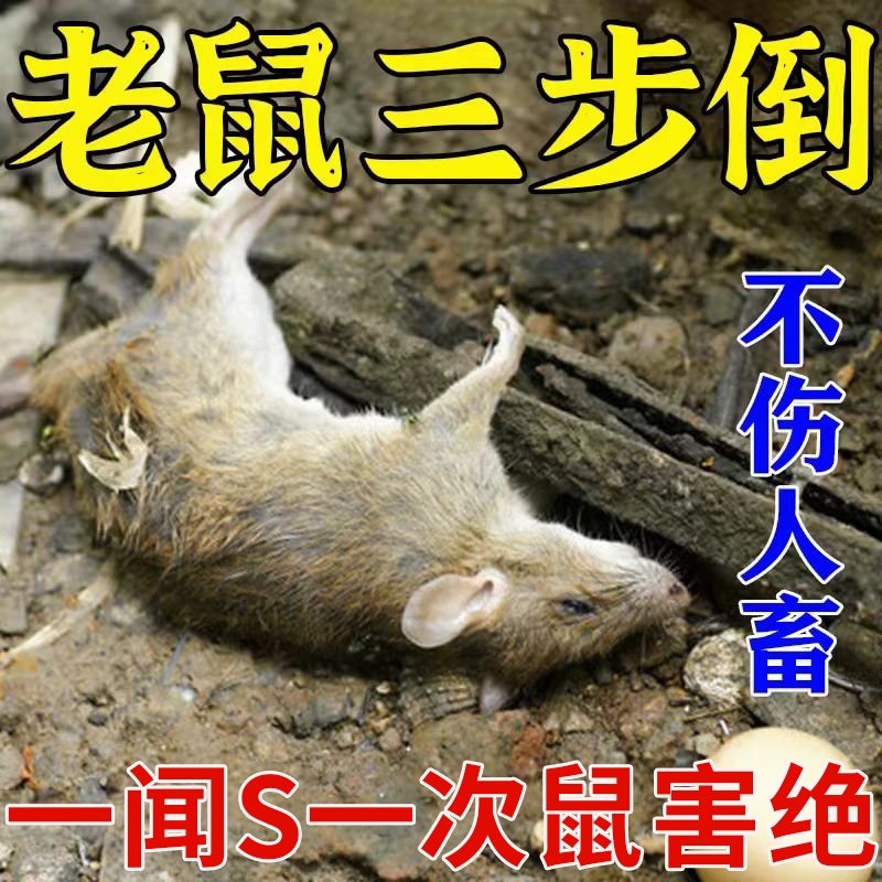 老鼠特神药官方旗舰店灭效耗子药必灭家用药超强力神器一锅