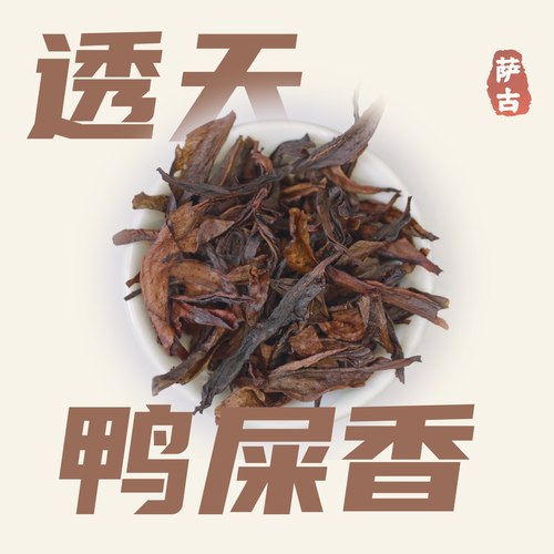 萨古的奶茶计划透天鸭屎香手打柠檬茶奶茶店专用凤凰单丛枞鸭屎香