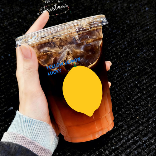 自制冰杯一次性杯子水果茶柠檬茶