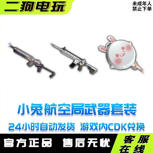 PUBG绝地求生小兔航空航天局武器套装兑换码CDK小兔M4MINI平底锅