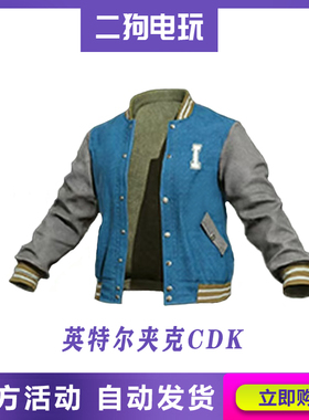 PUBG绝地求生皮肤英特尔联名夹克吃鸡intel外套定制衣服兑换码CDK