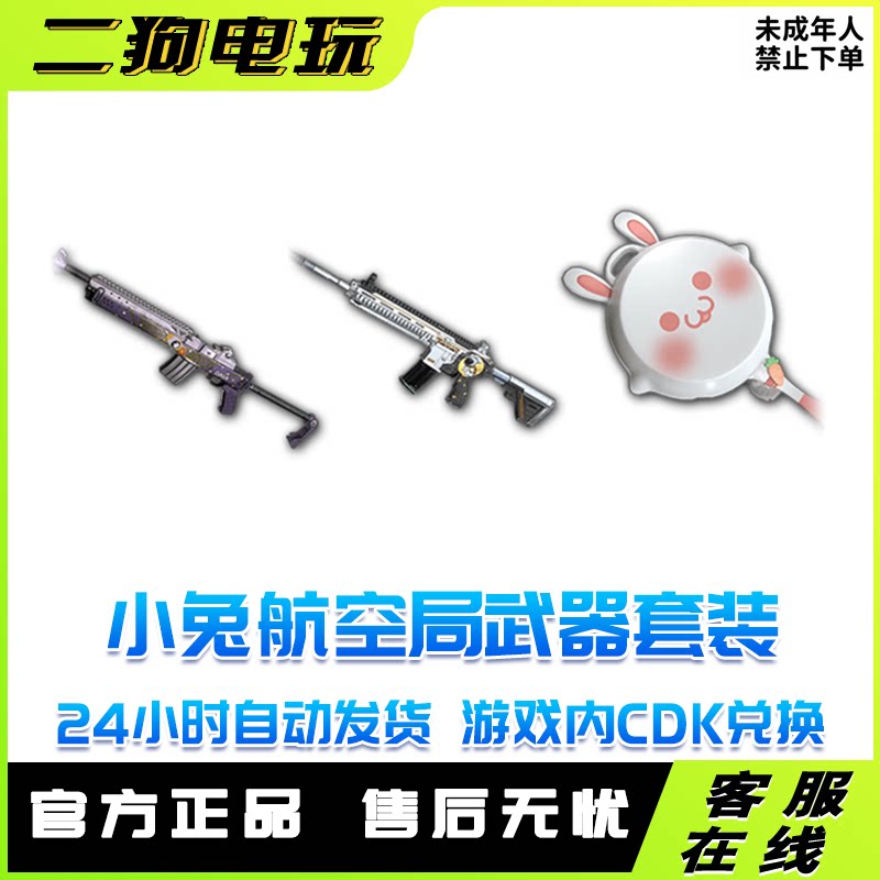 PUBG绝地求生小兔航空航天局武器套装兑换码CDK小兔M4MINI平底锅图片
