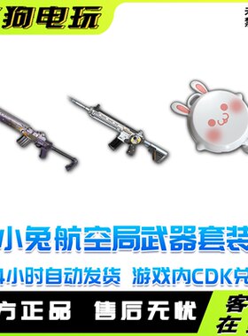 PUBG绝地求生小兔航空航天局武器套装兑换码CDK小兔M4MINI平底锅