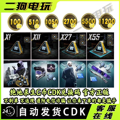 steam绝地求生PUBG金币G币迎新春物资箱升阶包吃鸡点卷CDK兑换码