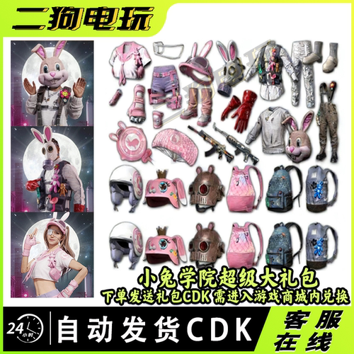 PUBG绝地求生CDK皮肤兑换码小兔学院超级大礼包吃鸡兔子衣服头盔