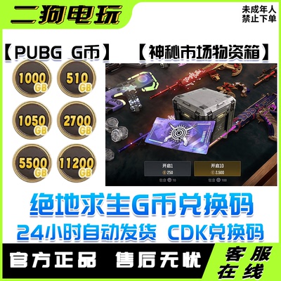 steam绝地求生PUBG神秘市场物资箱联名G币霓虹AUG吃鸡CDK兑换码