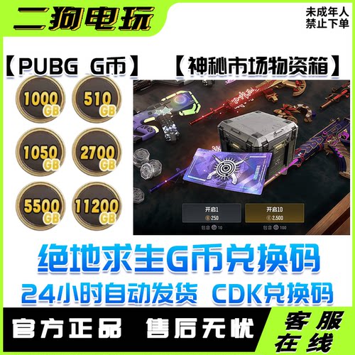 steam绝地求生PUBG神秘市场物资箱联名G币霓虹AUG吃鸡CDK兑换码