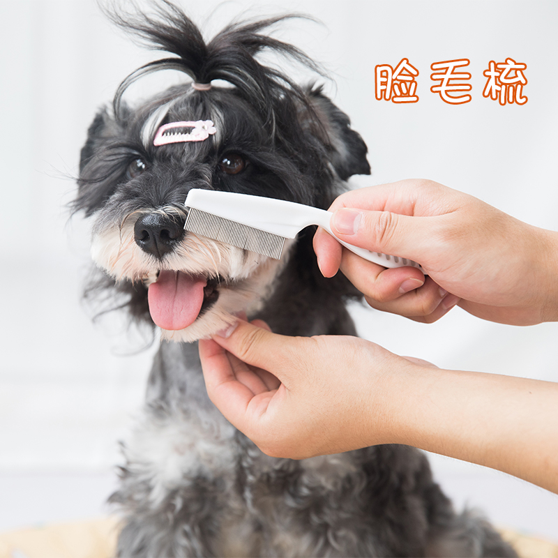狗狗脸毛梳子跳蚤虱子梳