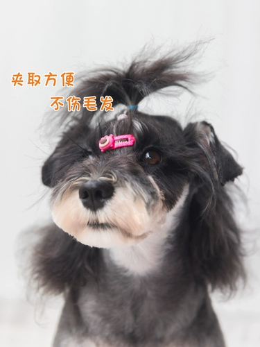 Зажим для расчески для собак, заколка для сломанных волос на лбу, зажим для волос BB, шнауцер, мальтийский йоркширский кот, милые аксессуары для волос для домашних животных