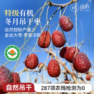 有机红枣特级新疆特产冬月吊干枣金丝大枣枸杞泡茶水干吃免洗枣子