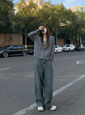 HVIVI高腰复古加绒加厚阔腿直筒牛仔裤女秋冬宽松显瘦拖地长裤