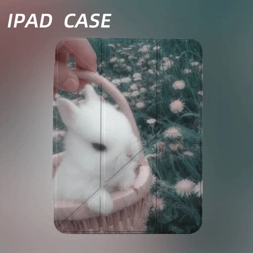原创软萌篮中白兔iPad2025新款11代苹果Air7防弯Y折ipad壳三折第9代平板壳11寸Pro亚克力适用mini7带笔槽