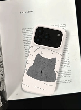原创小众睡觉小猫iPhone17pro手机壳磁吸16p软壳亮面14半包壳苹果15promax全包磨砂硬壳适用三星s24S25