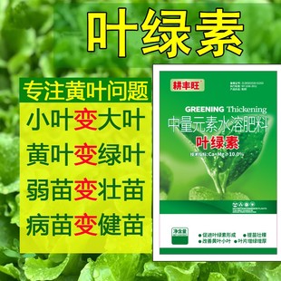 农用叶绿素氨基酸叶面肥增产提苗壮颗增绿增厚水溶肥绿叶素一喷绿