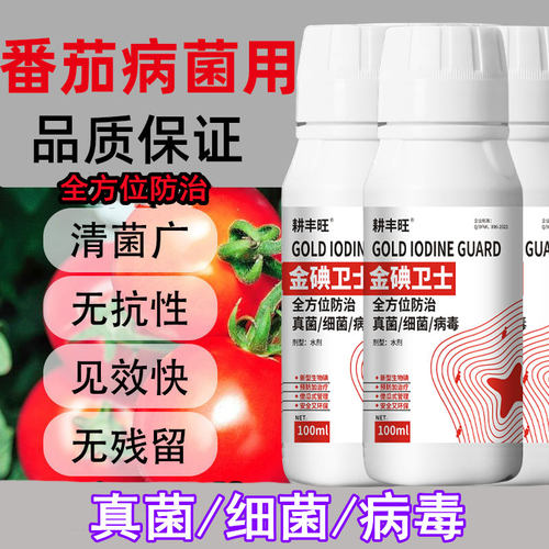 耕丰旺番茄病全治枯萎黄萎