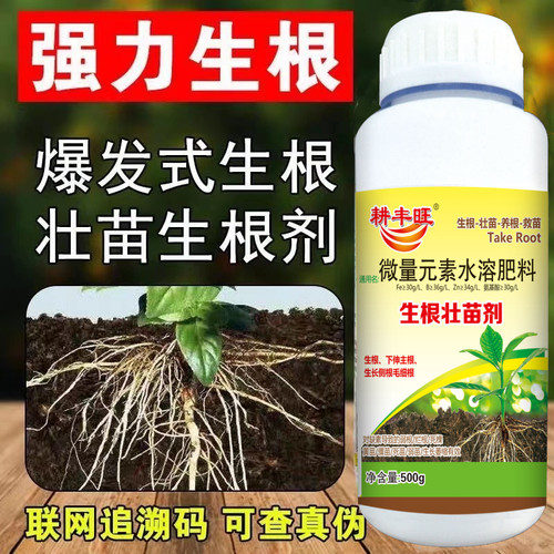 扦插果树快速强力生根壮苗剂