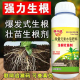 生根壮苗剂生根粉生根液移栽扦插果树花卉蔬菜快速生根强力发根剂