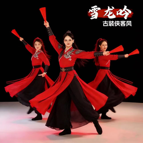 雪龙吟古典舞演出服侠客风