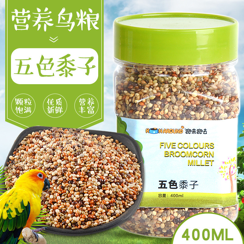 跑来跑去鸟食诺之信严选鹦鹉饲