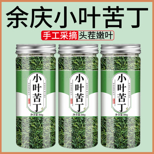 新货苦丁茶官方旗舰店正品2025新茶贵州野生余庆大叶小叶苦丁茶的