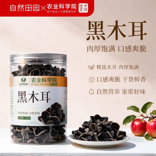 东北黑木耳官方旗舰店干货特级纯野生500g特产级秋木耳老鼠耳干山