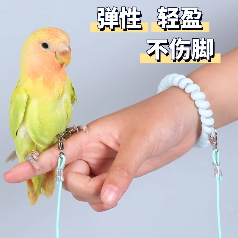 鹦鹉脚环活扣超轻放飞绳牵引绳脚链虎皮牡丹玄凤小太阳专用遛鸟绳