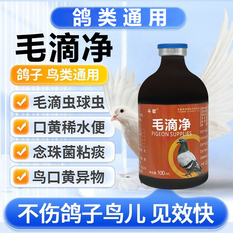 正品鸽用毛滴净赛幼鸽毛滴虫信鸽喉内白点水鸽子鹦鹉常备鸽用