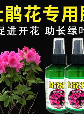 杜鹃花专用专治叶子枯萎黄叶掉叶掉花掉花苞不开花枯枝通用营养液