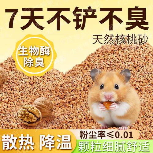 仓鼠核桃砂金丝熊豚鼠刺猬夏天专用挖掘刨沙除臭造景垫料大匠神彩