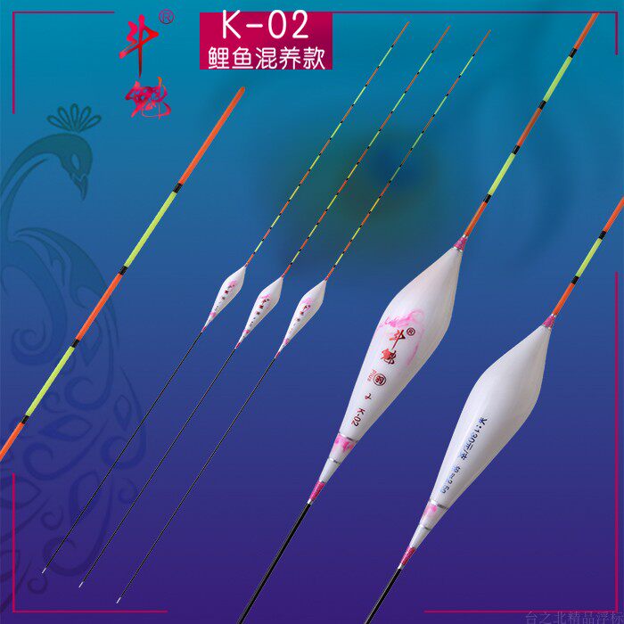 【斗鱼】台之北新品斗魁K02鲤鱼混养孔雀羽毛浮漂