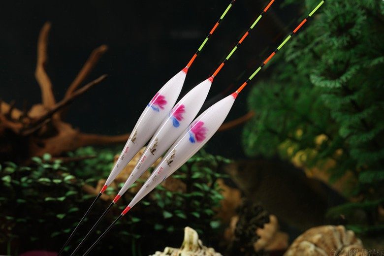 台之北浮漂爆口斗鱼羽毛