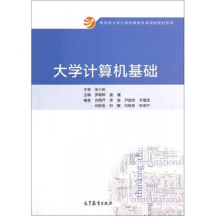 娄健高等教育 大学计算机基础罗朝晖 正版 新书