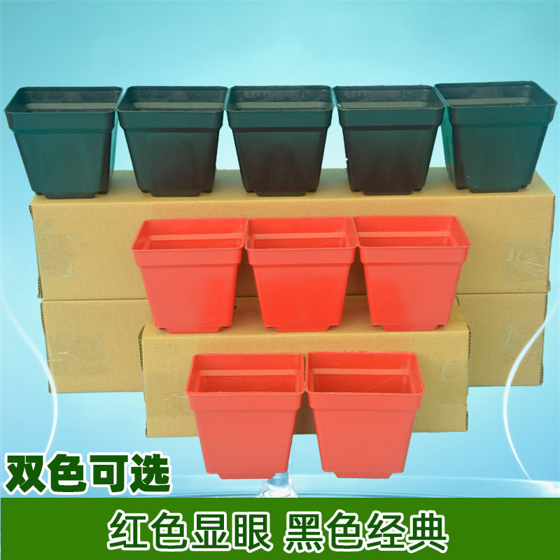 十个装五十个装方型育苗盆营养杯钵塑料花盆瓶硬质小盆栽盆栽基地