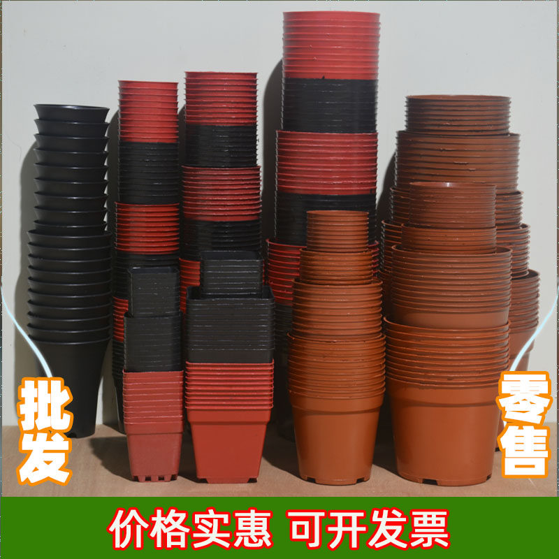 整件蛇皮装A型营养杯育苗杯塑料花盆瓶钵园艺盆栽绿植多肉苗包邮_虎窝淘